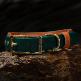 BioThane® Waterproof Layered Two Tone Buckle Collar - 1" & 1.5"