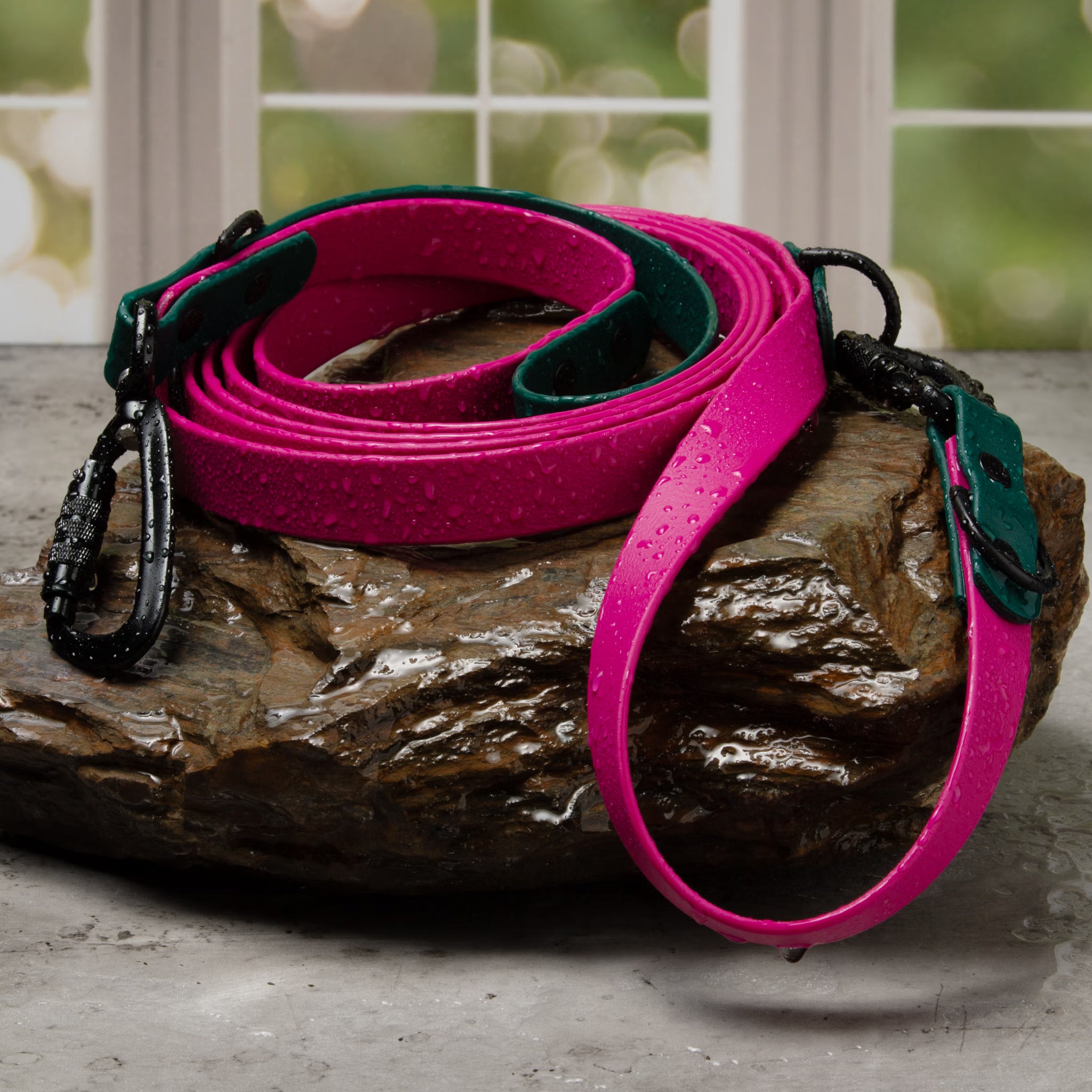 BioThane leash collection in multiple colors for outdoor adventures