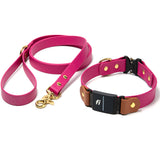 Fi Series 3/3+ Compatible Buckle Collar and Leash Walk Set