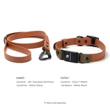 Fi Series 3/3+ Compatible Buckle Collar and Leash Walk Set