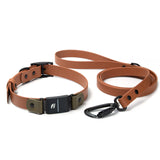 Fi Series 3/3+ Compatible Buckle Collar and Leash Walk Set