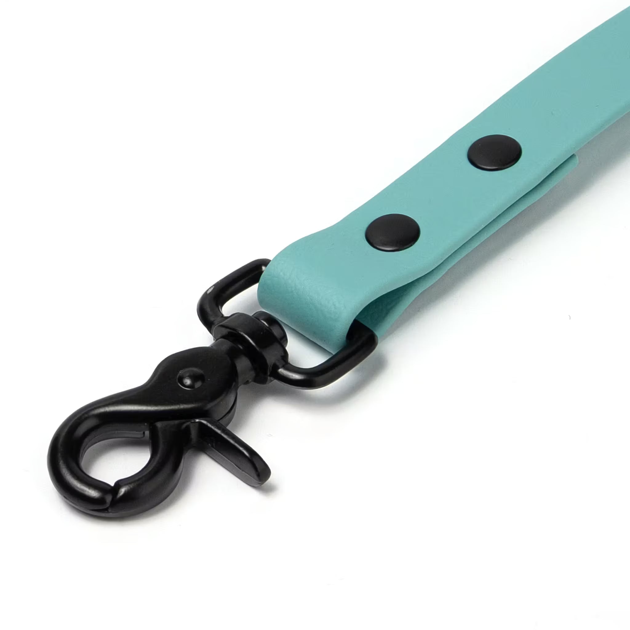 BioThane® Waterproof Dog Leash - Dusty Turquoise