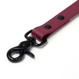 BioThane® Waterproof Dog Leash - Wine