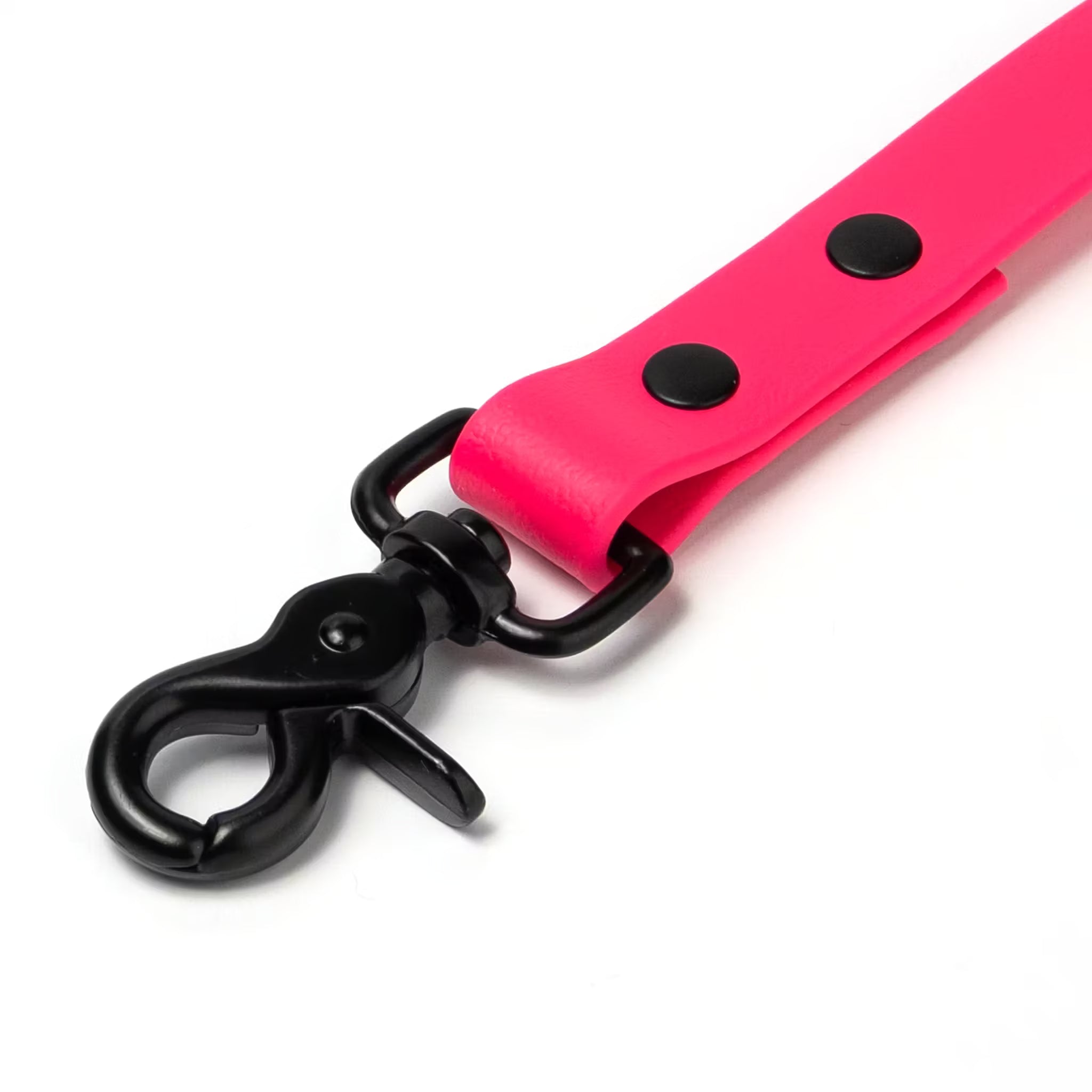 BioThane® Waterproof Dog Leash - Passion Fruit