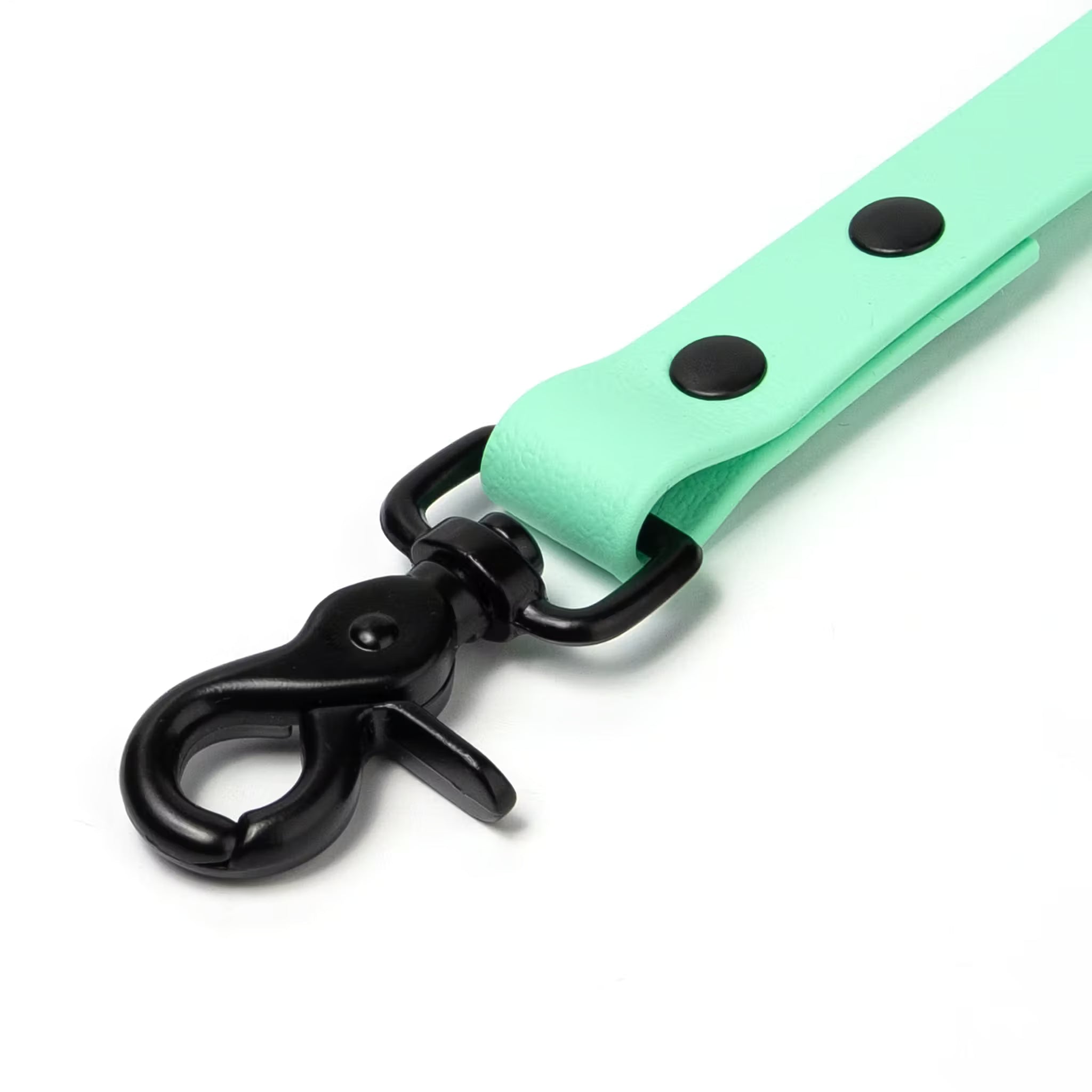 BioThane® Waterproof Dog Leash - Seafoam
