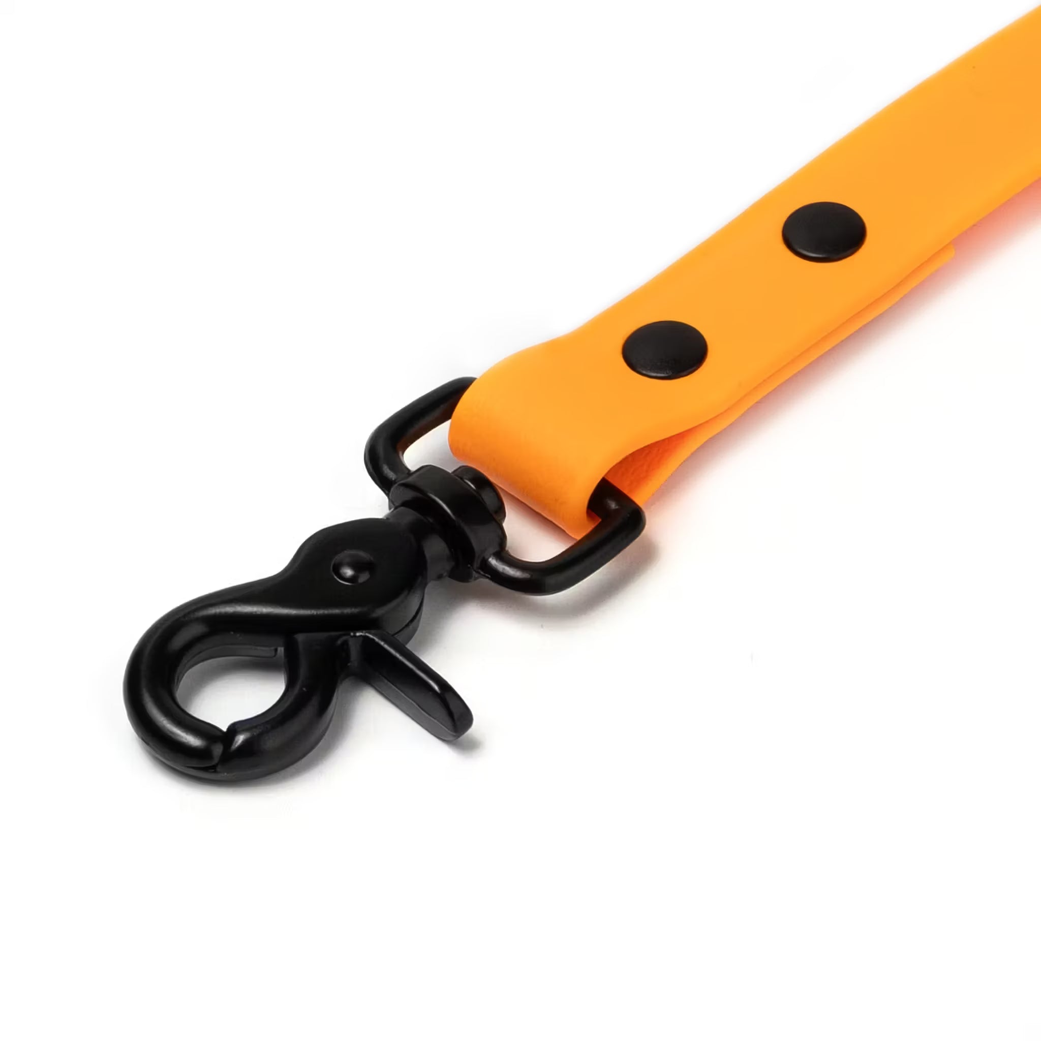 BioThane® Waterproof Dog Leash - Tangerine