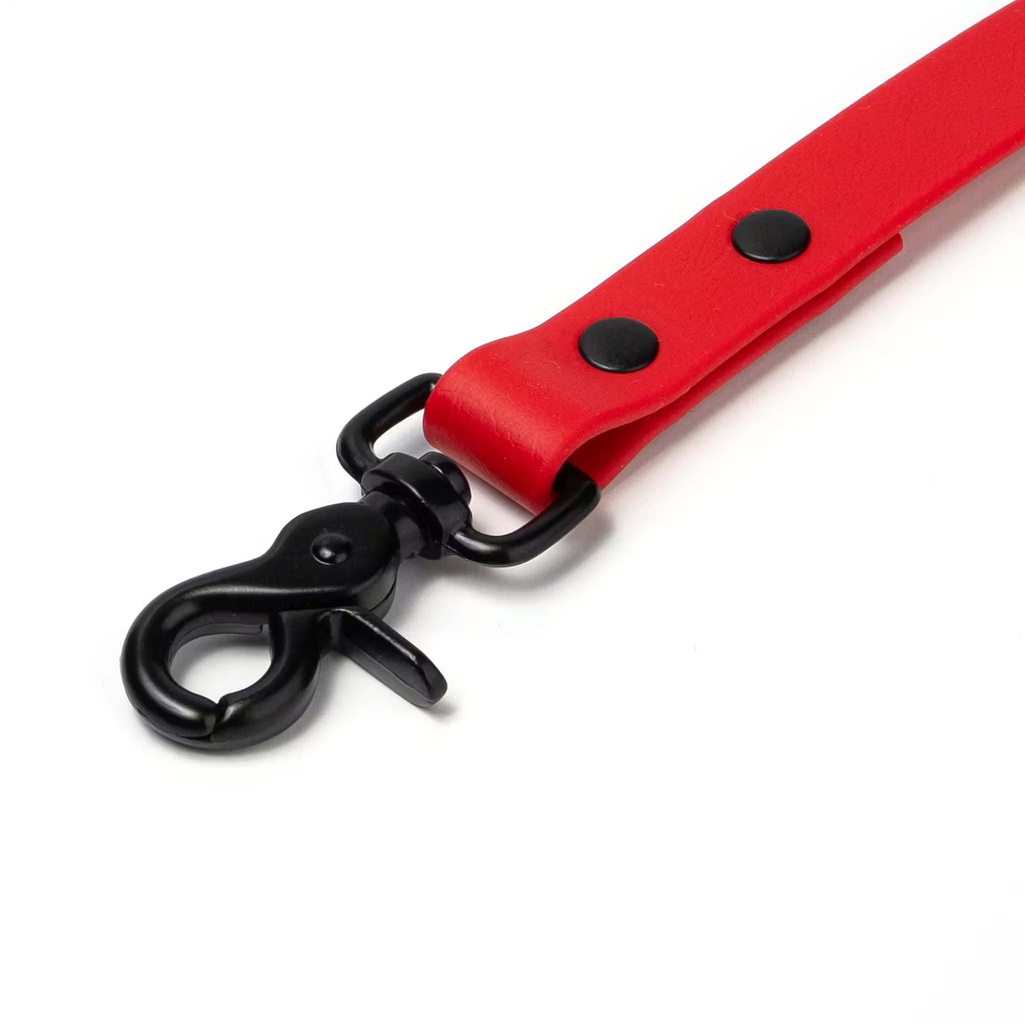 BioThane® Waterproof Dog Leash - Red