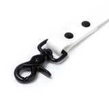 BioThane® Waterproof Dog Leash - White