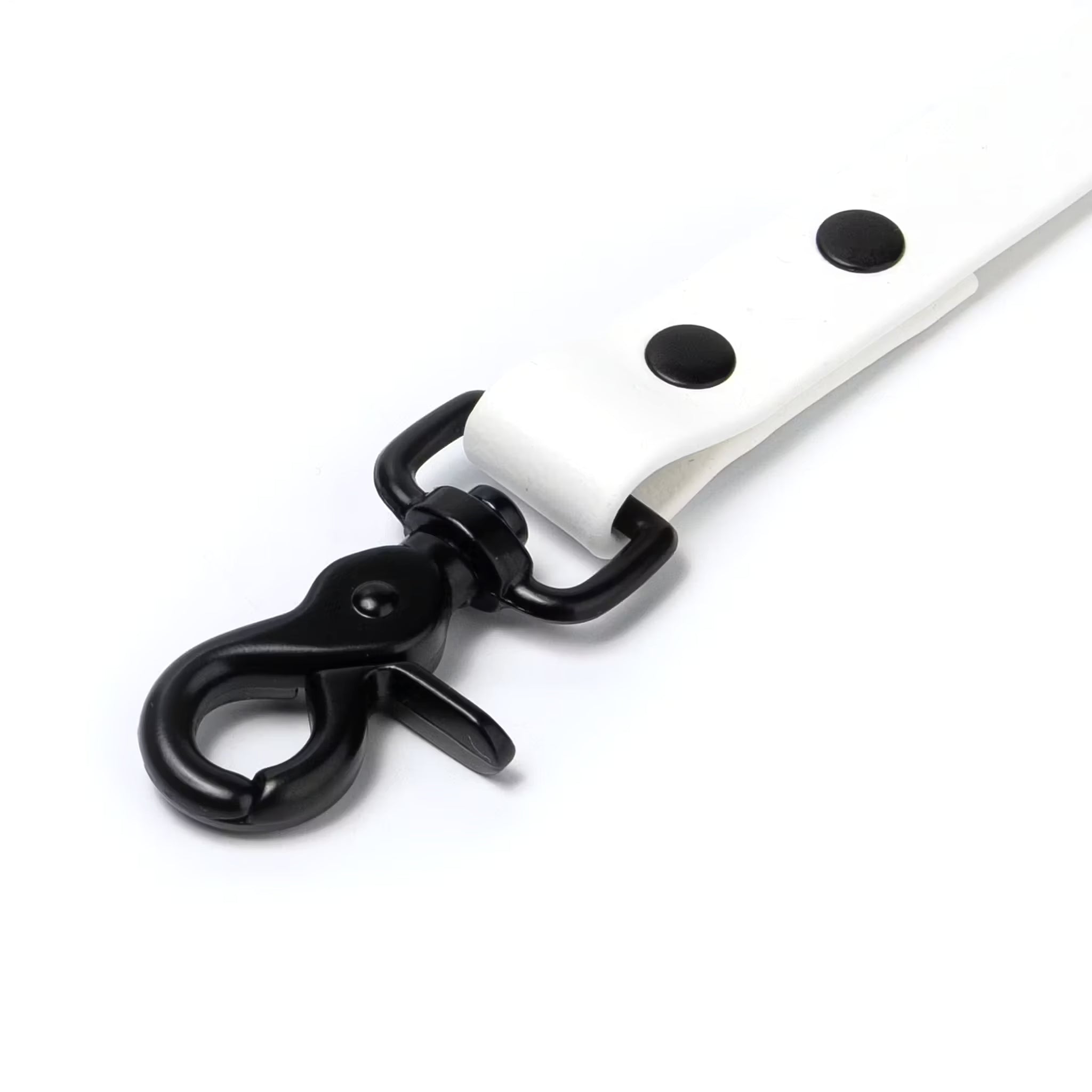 BioThane® Waterproof Dog Leash - White