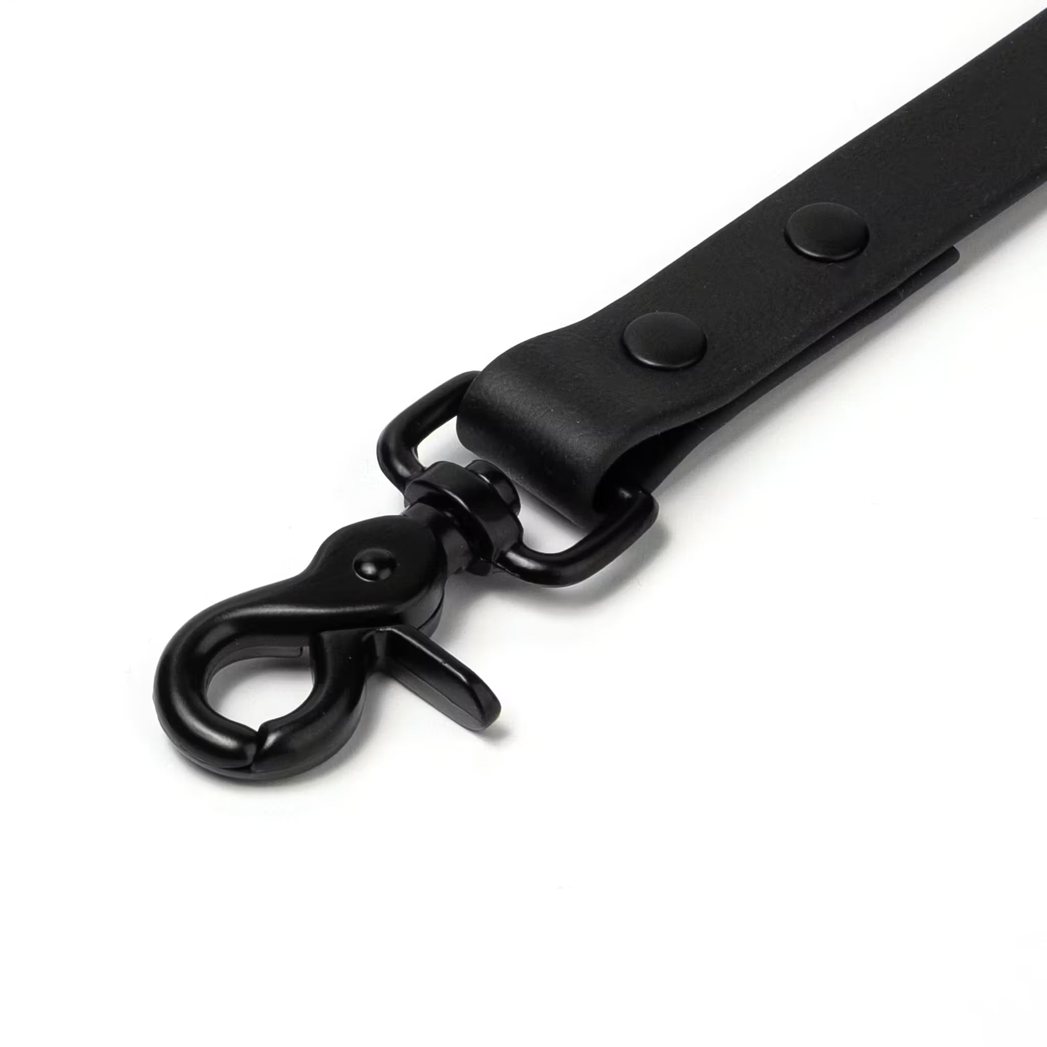BioThane® Waterproof Dog Leash - Black
