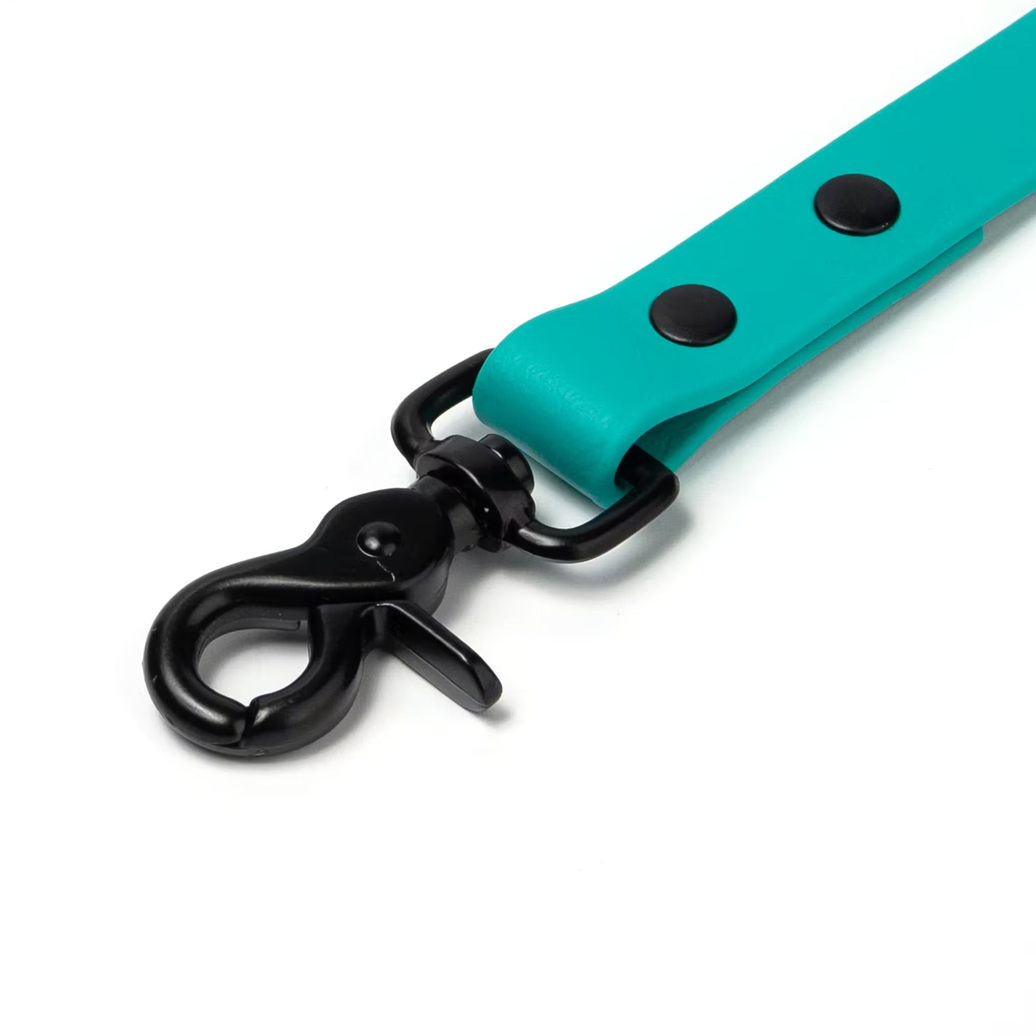 BioThane® Waterproof Dog Leash - Teal