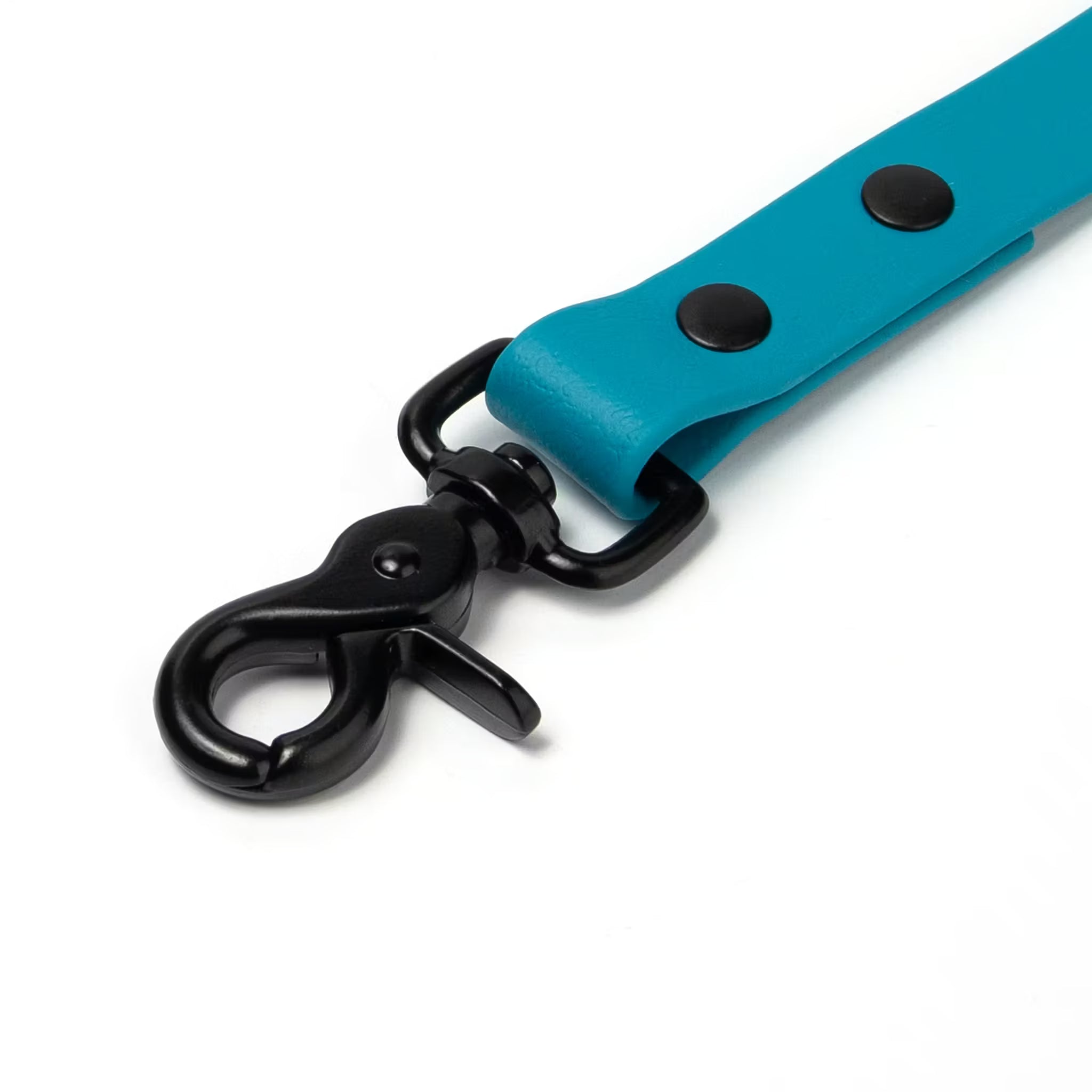 BioThane® Waterproof Dog Leash - Ocean Blue