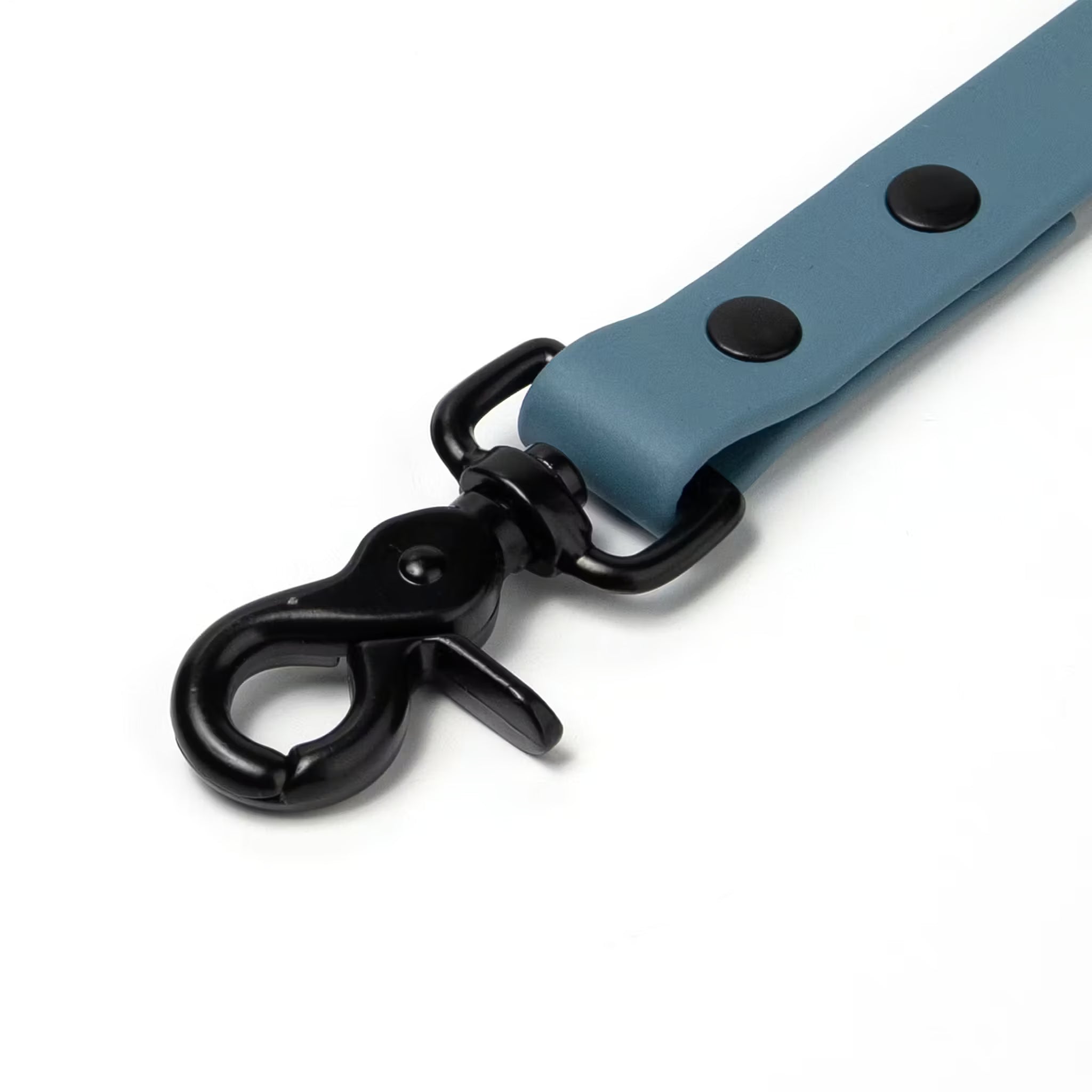 BioThane® Waterproof Dog Leash - Steel Blue