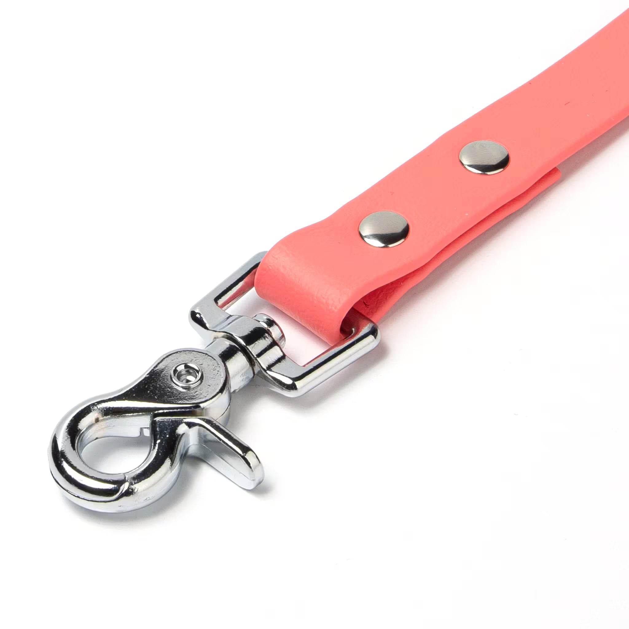 BioThane® Waterproof Dog Leash - Coral