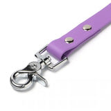 BioThane® Waterproof Dog Leash - Amethyst