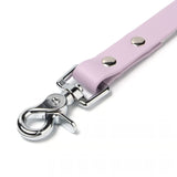 BioThane® Waterproof Dog Leash - Lilac