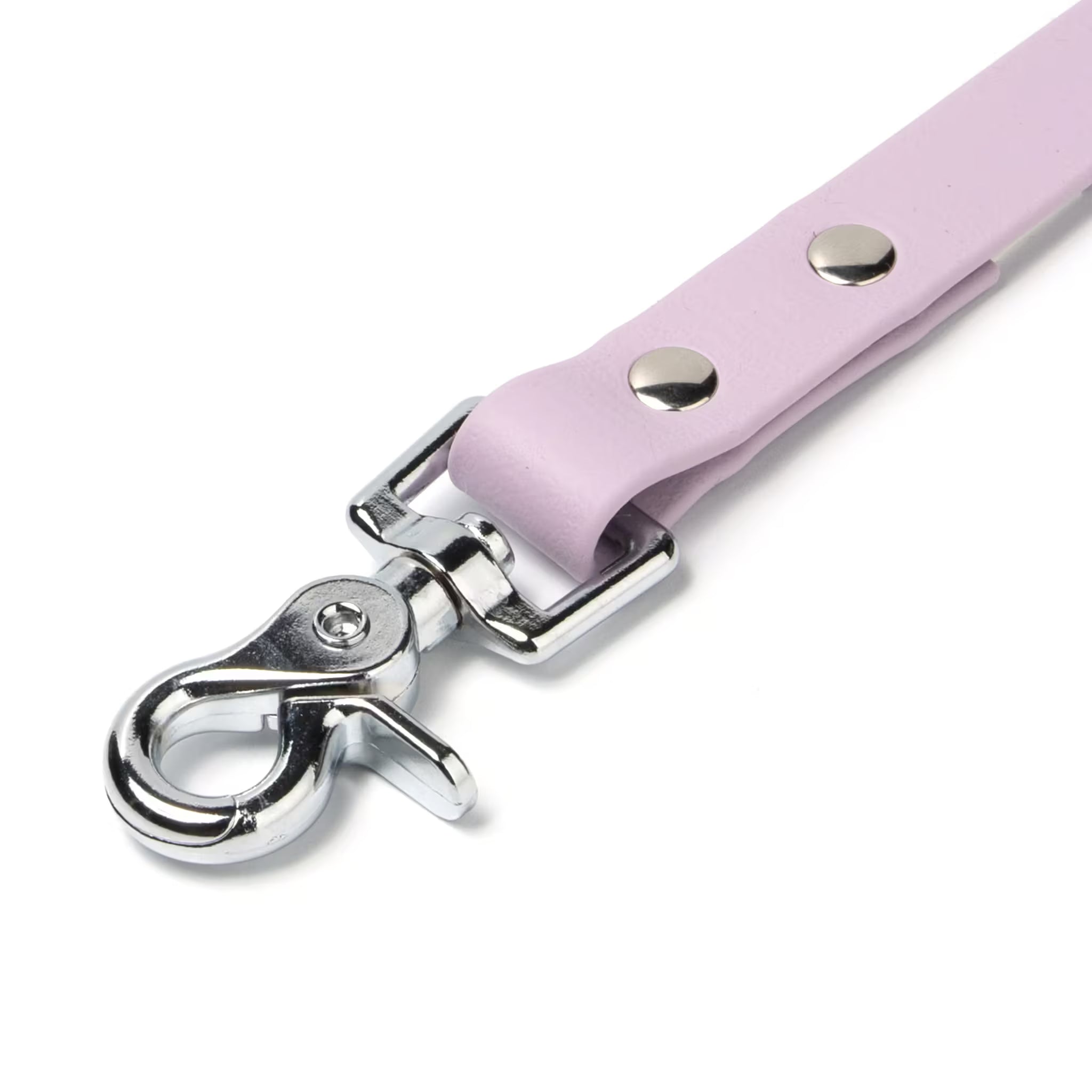 BioThane® Waterproof Dog Leash - Lilac