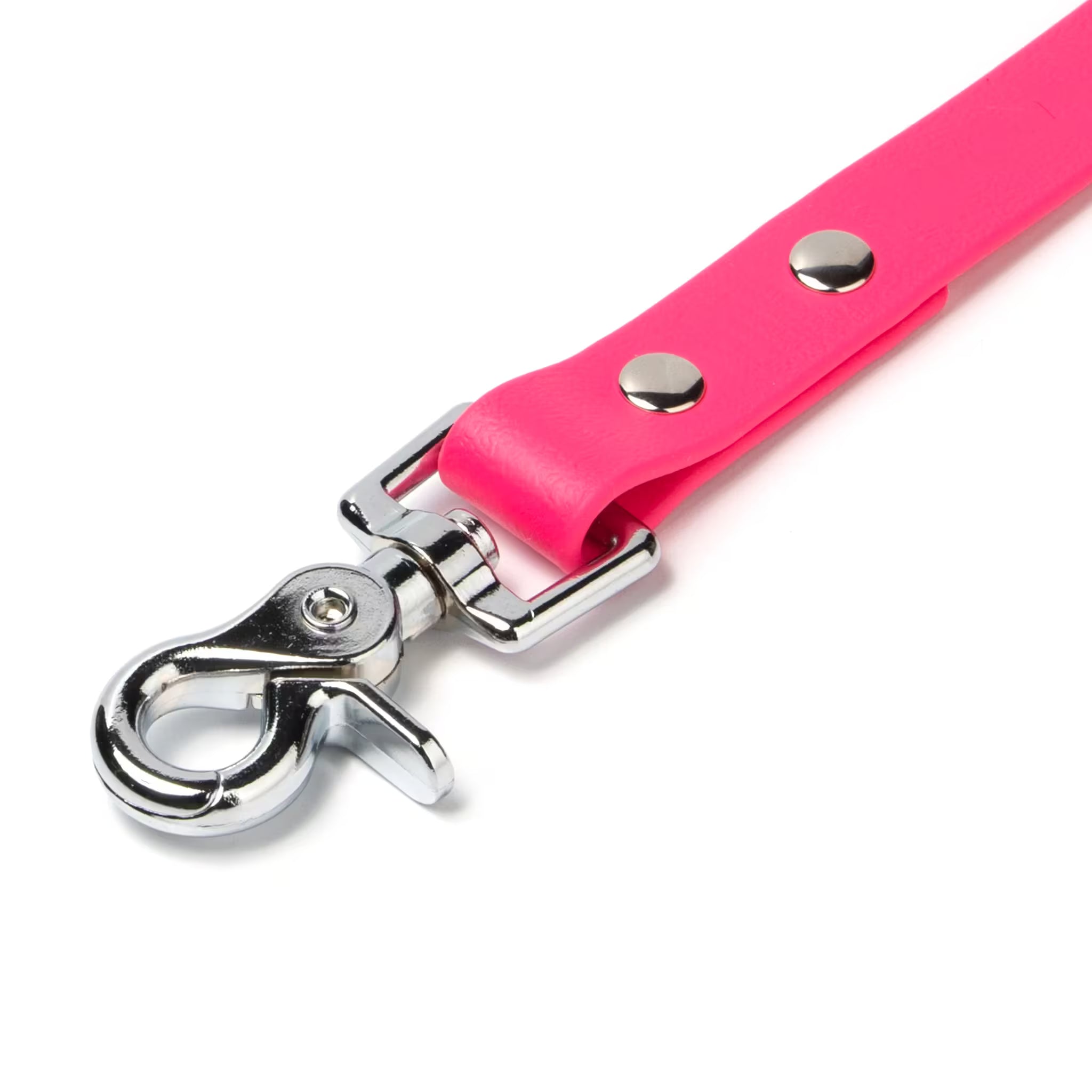 BioThane® Waterproof Dog Leash - Passion Fruit