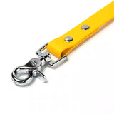 BioThane® Waterproof Dog Leash - Yellow