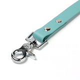 BioThane® Waterproof Dog Leash - Dusty Turquoise