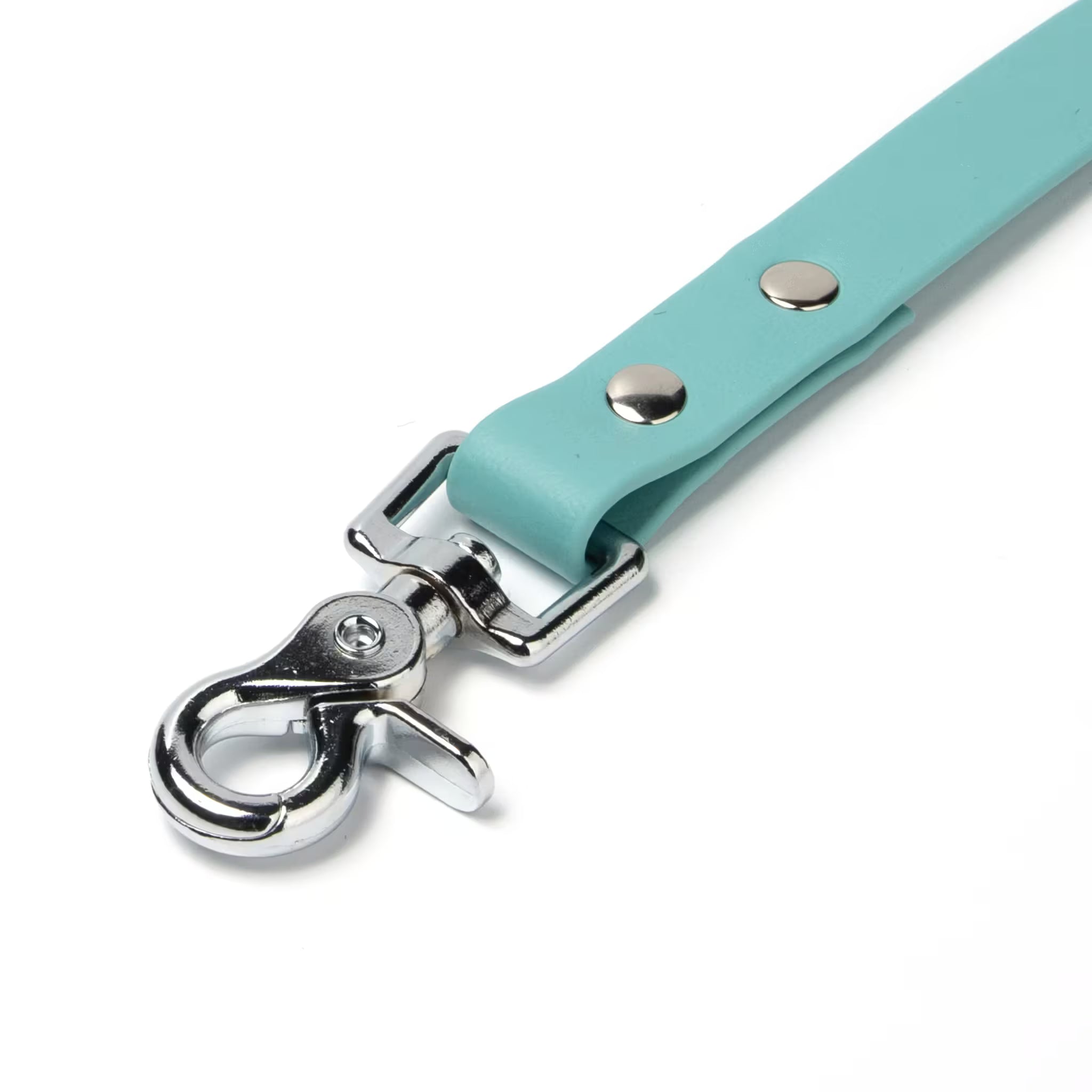 BioThane® Waterproof Dog Leash - Dusty Turquoise