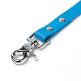 BioThane® Waterproof Dog Leash - Azure