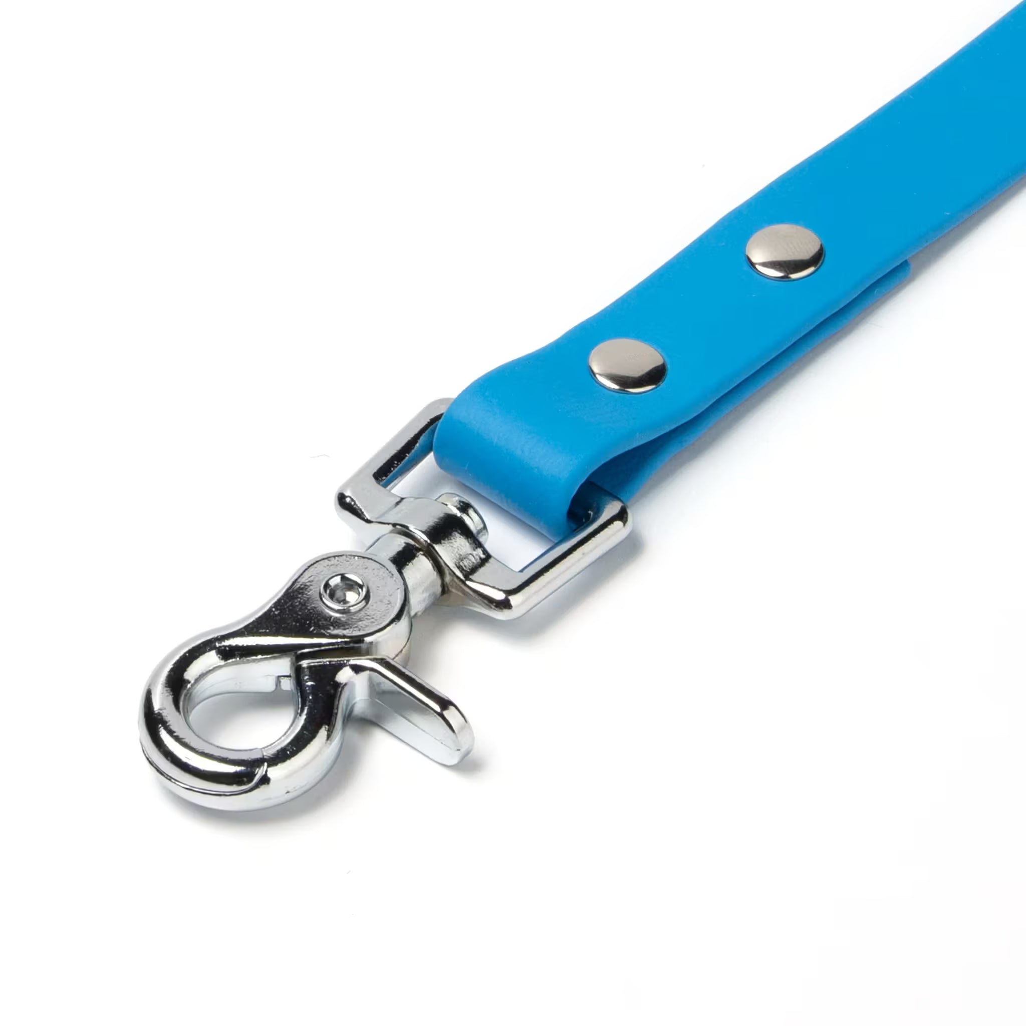 BioThane® Waterproof Dog Leash - Azure