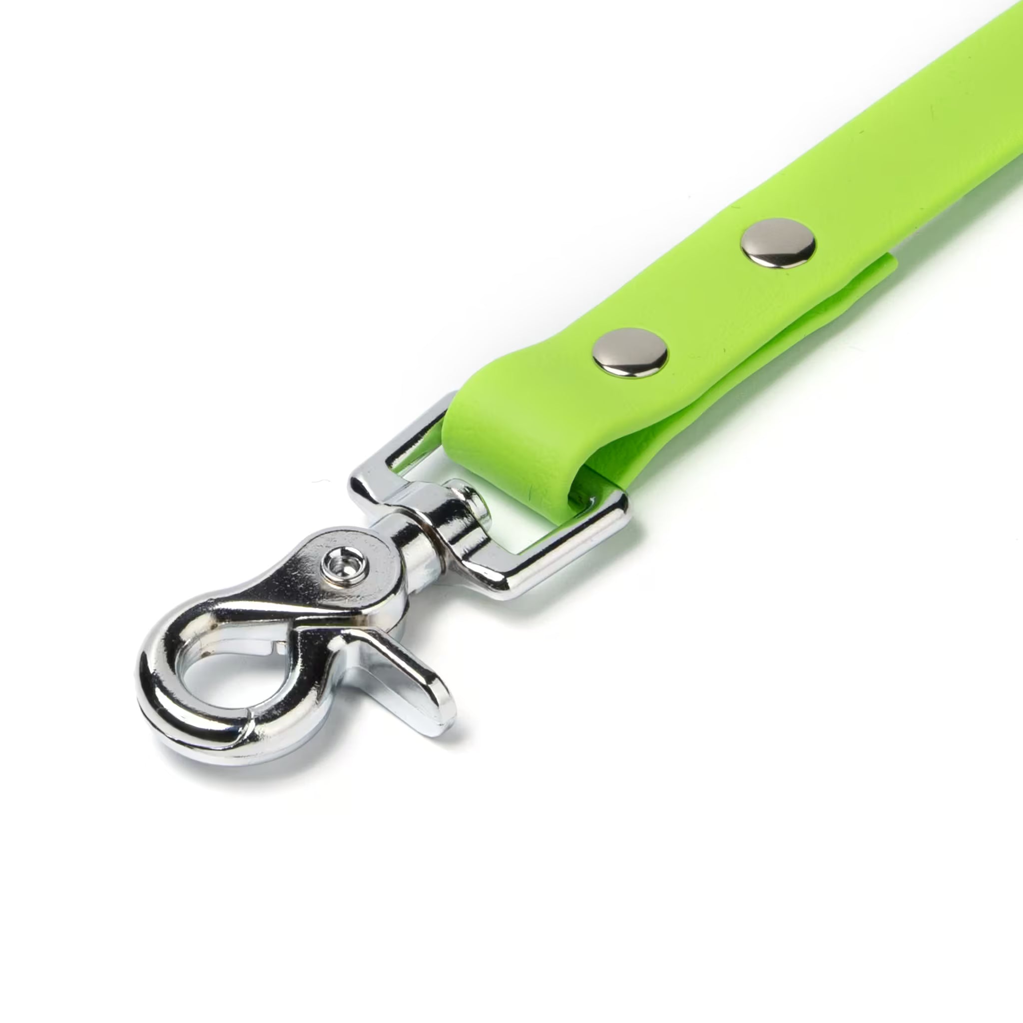 BioThane® Waterproof Dog Leash - Lime