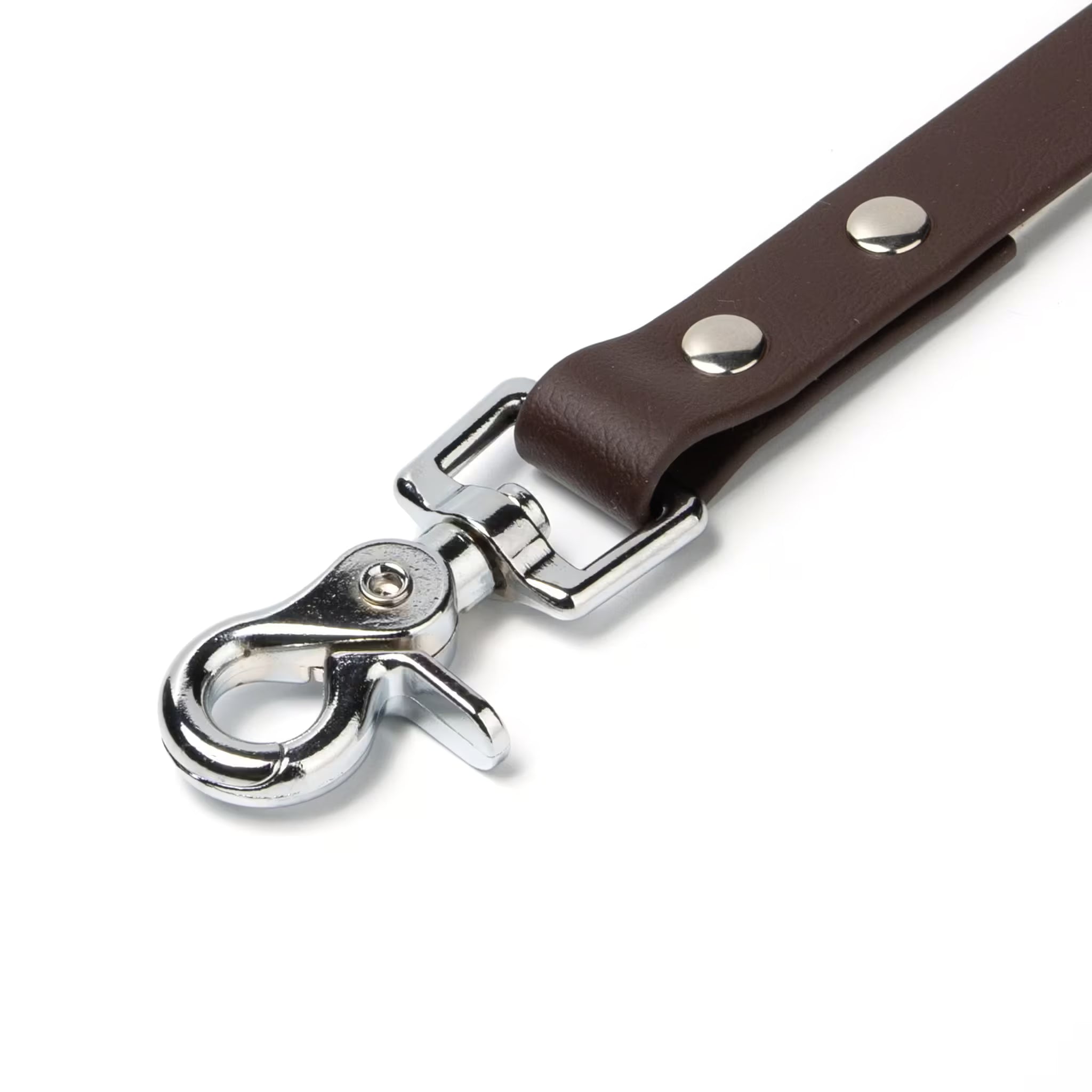 BioThane® Waterproof Dog Leash - Espresso