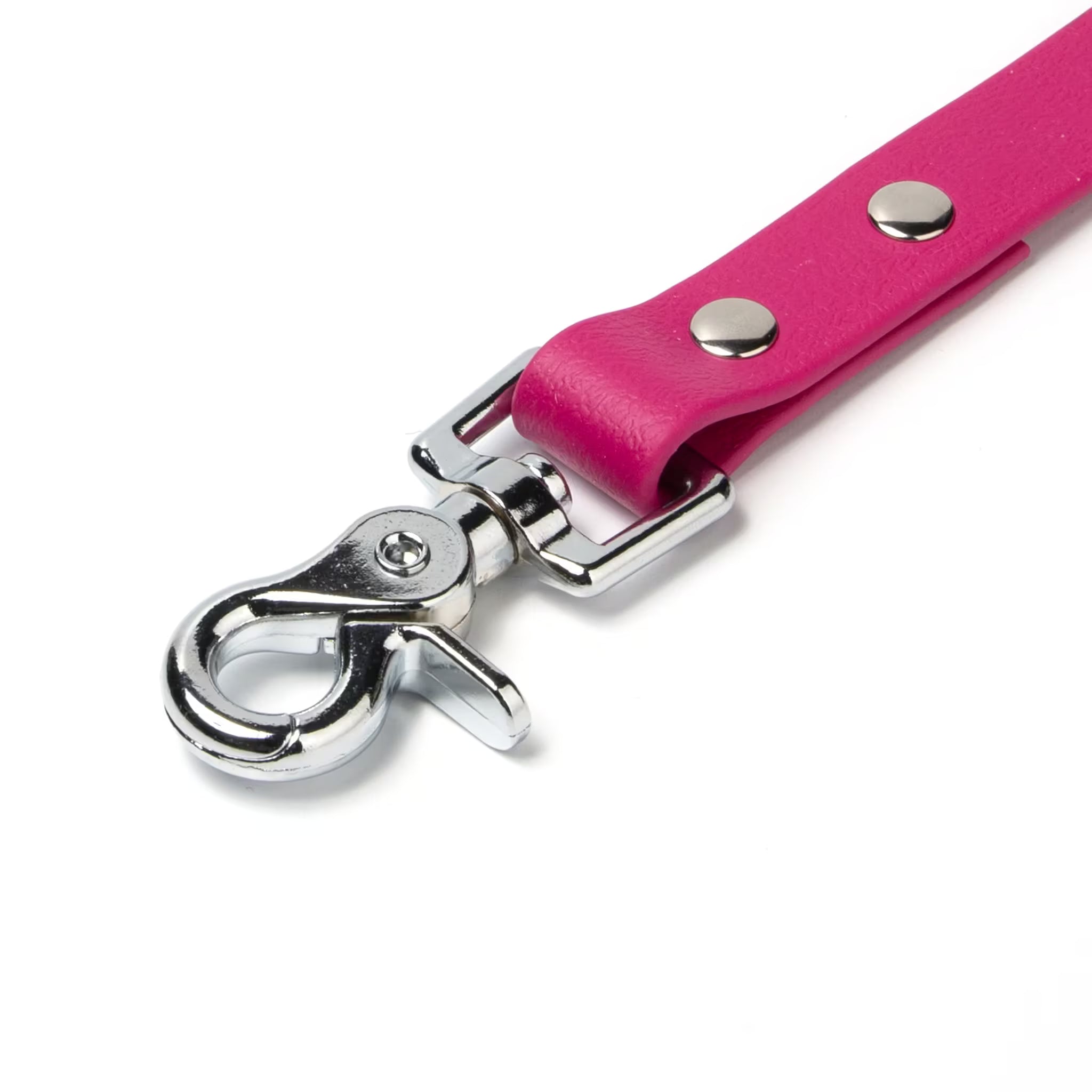 BioThane® Waterproof Dog Leash - Magenta