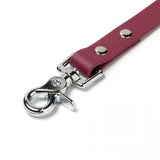 BioThane® Waterproof Dog Leash - Wine