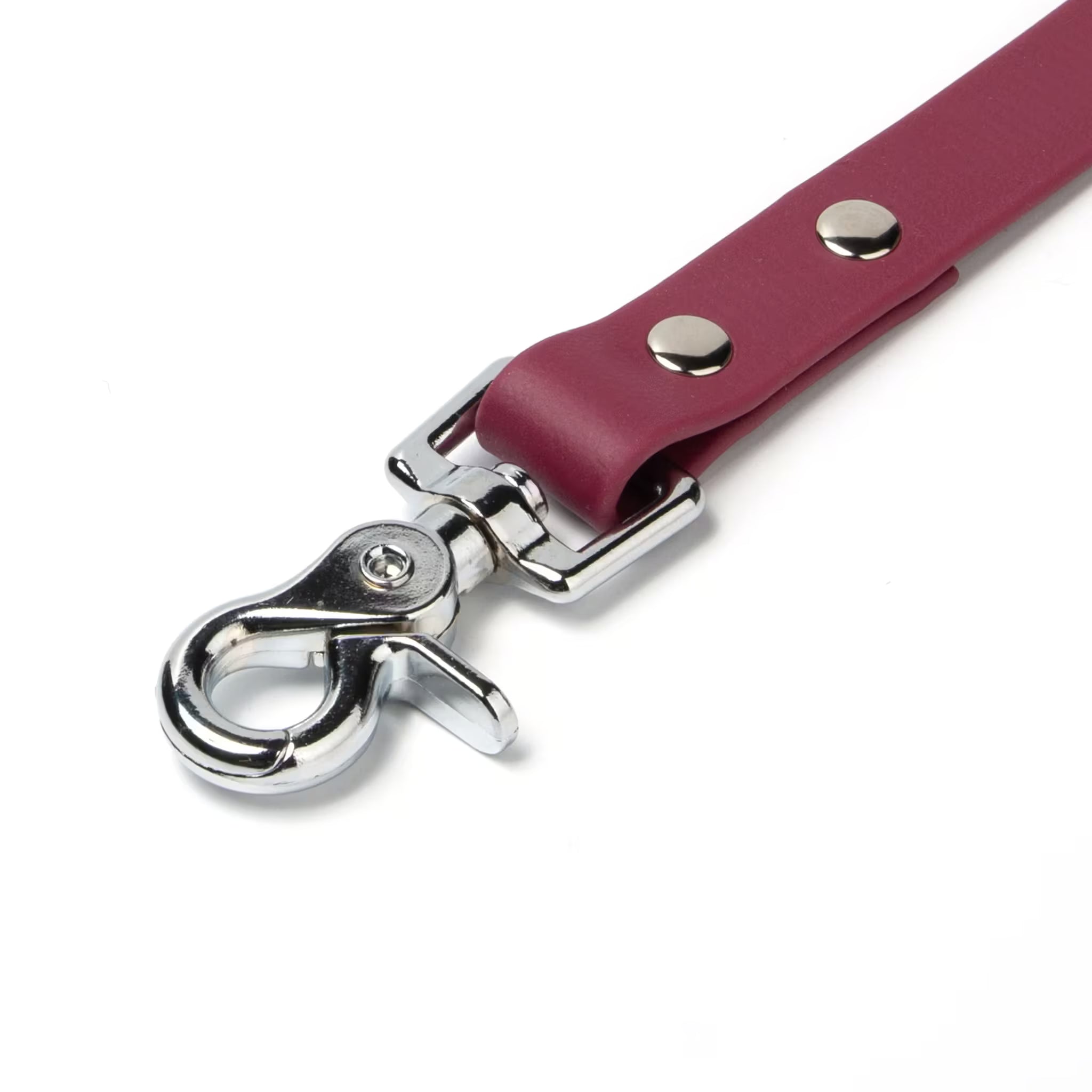BioThane® Waterproof Dog Leash - Wine