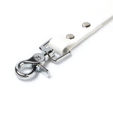 BioThane® Waterproof Dog Leash - White