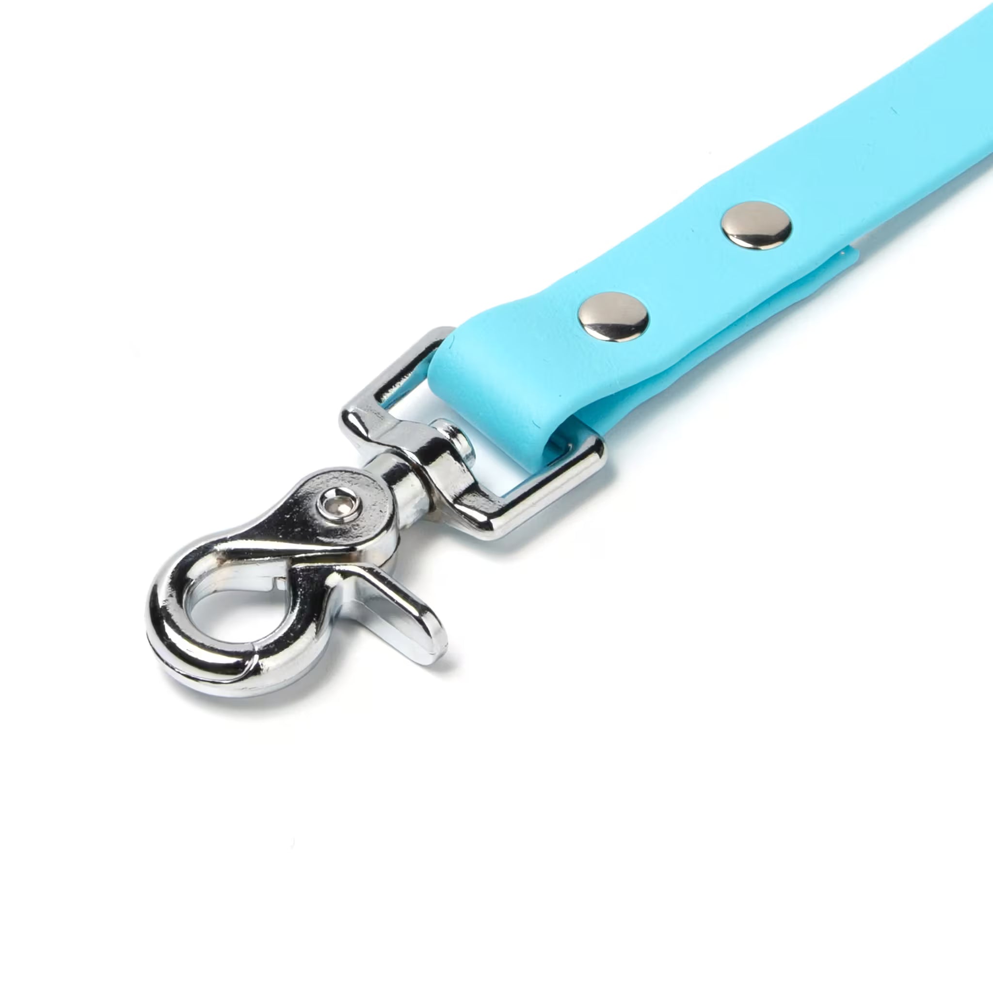 BioThane® Waterproof Dog Leash - Sky Blue