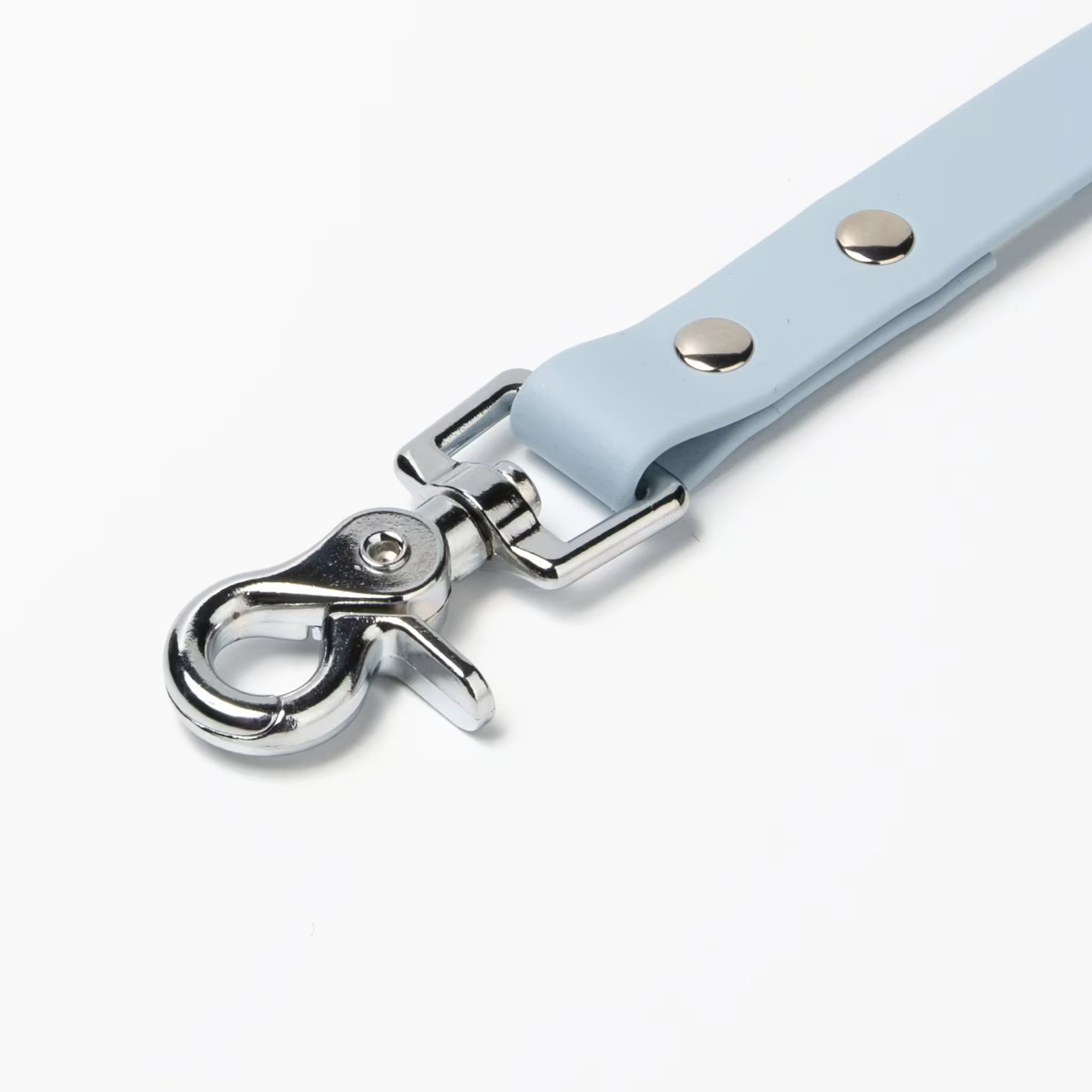 BioThane® Waterproof Dog Leash - Pastel Blue