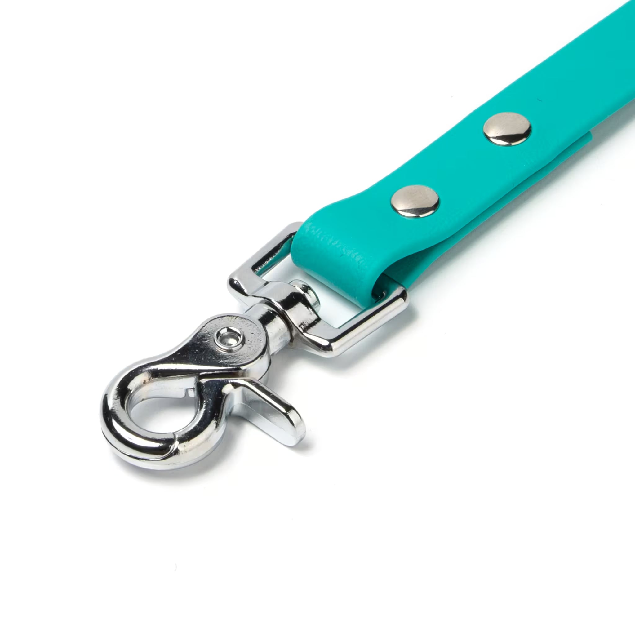 BioThane® Waterproof Dog Leash - Teal