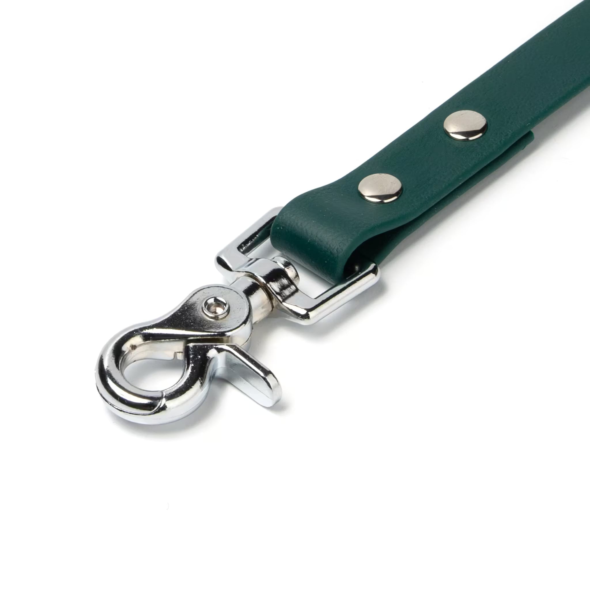 BioThane® Waterproof Dog Leash - Emerald