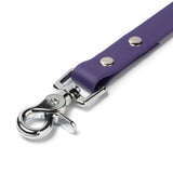 BioThane® Waterproof Dog Leash - Purple