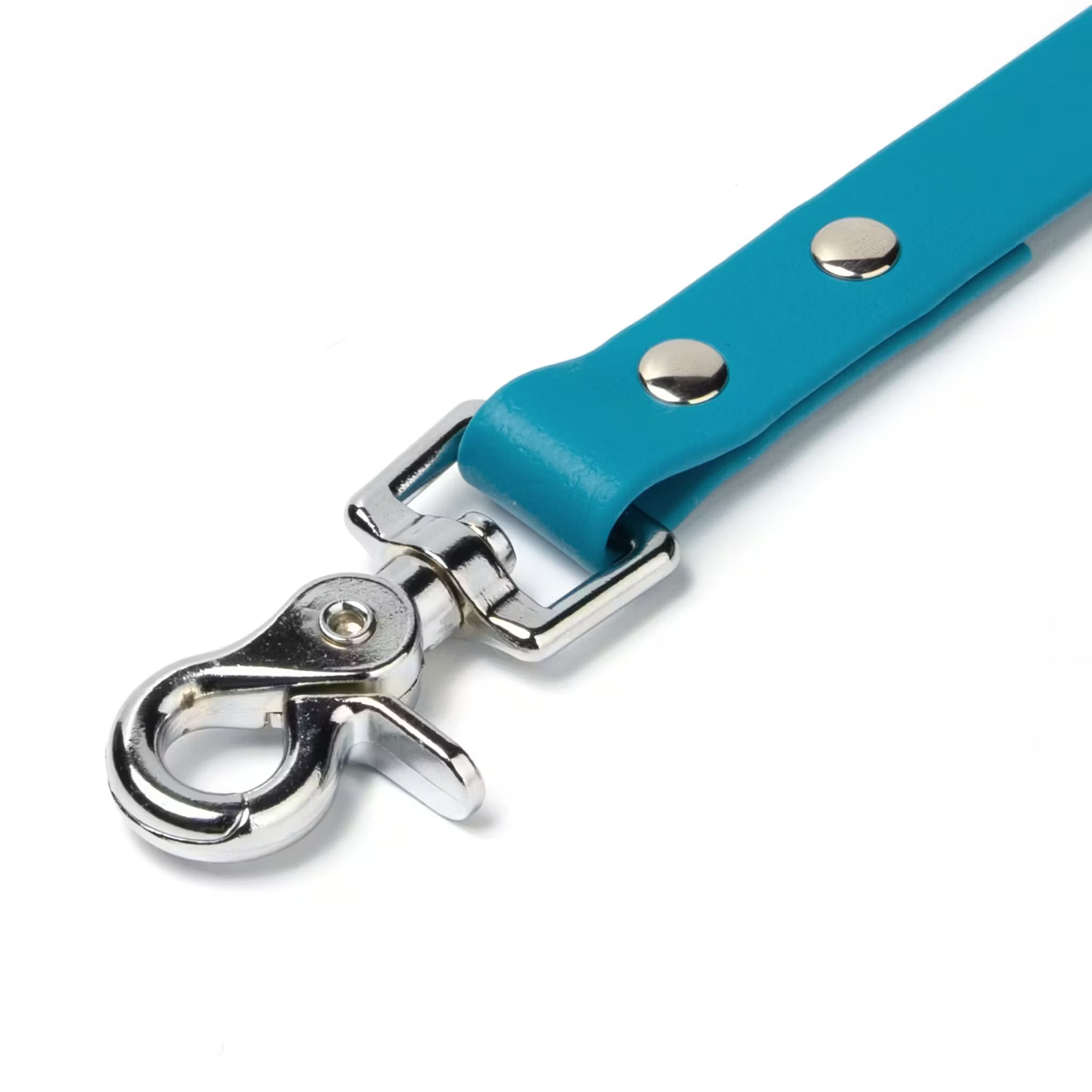 BioThane® Waterproof Dog Leash - Ocean Blue