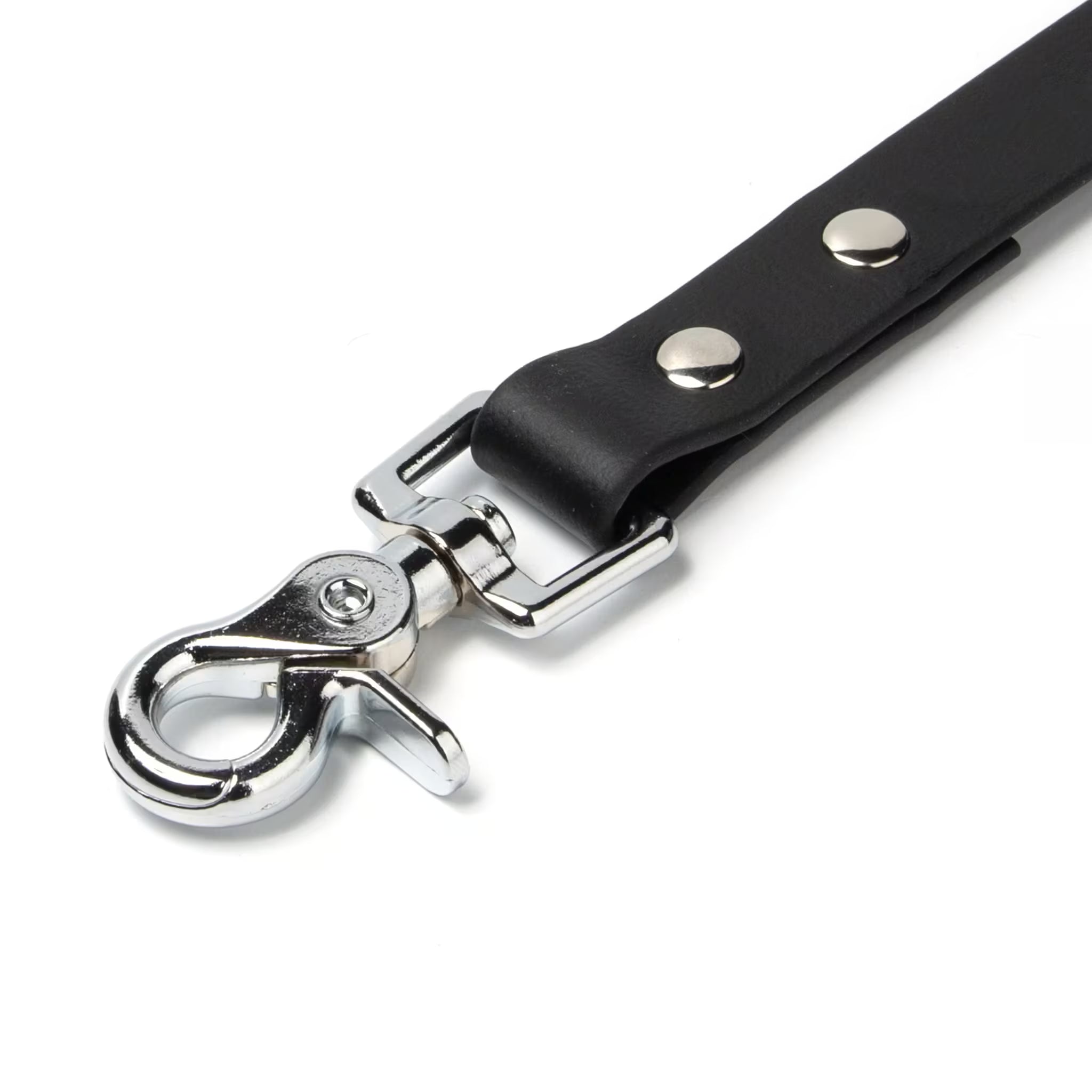 BioThane® Waterproof Dog Leash - Black