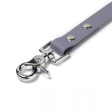 BioThane® Waterproof Dog Leash - Stone Grey