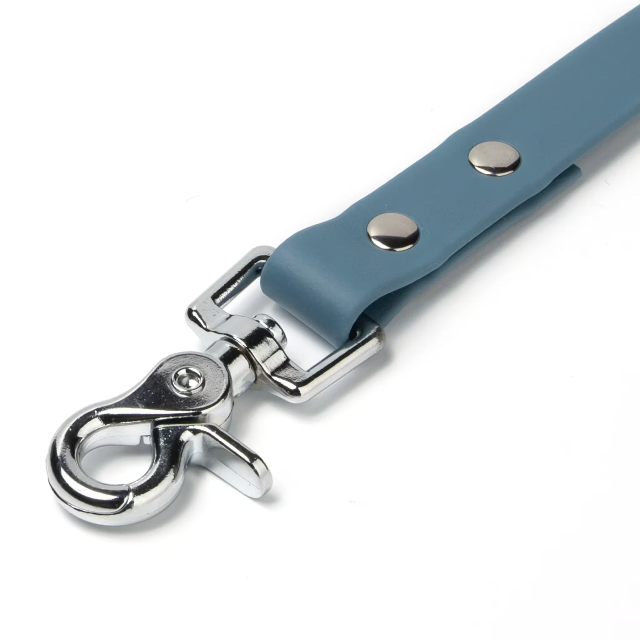 BioThane® Waterproof Dog Leash - Steel Blue