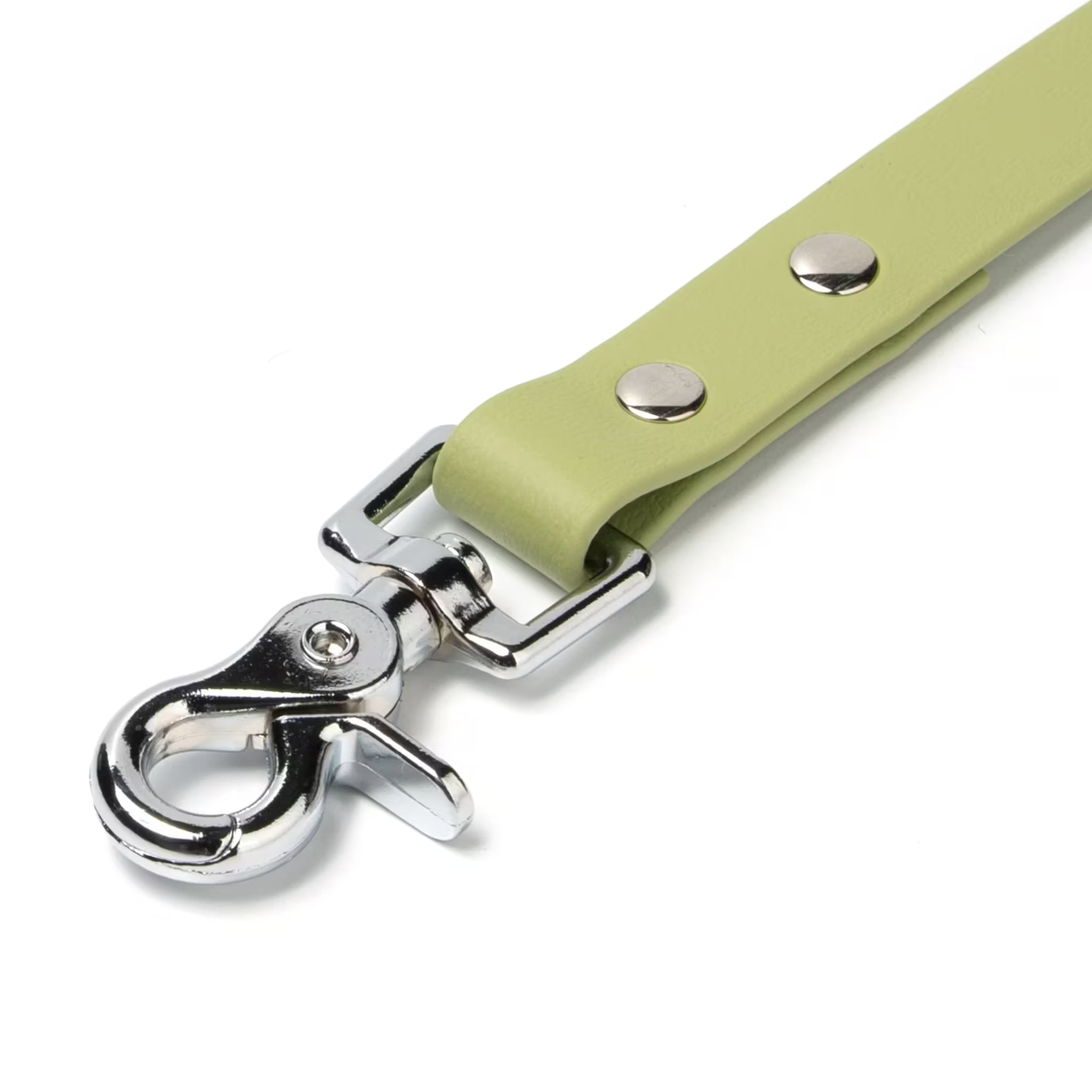 BioThane® Waterproof Dog Leash - Matcha