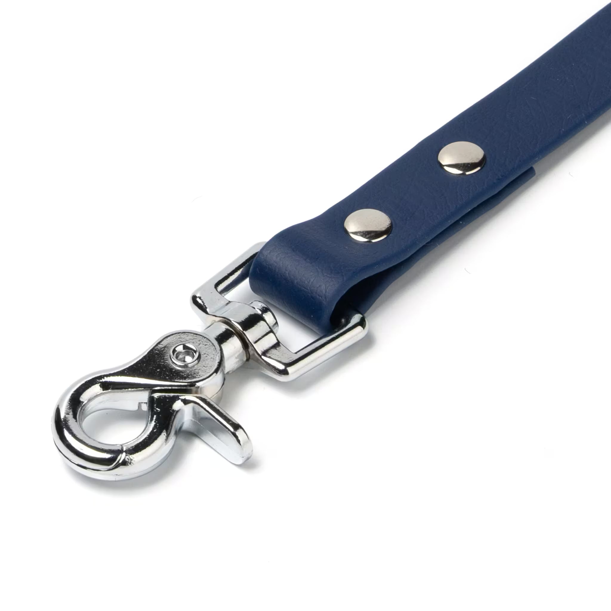 BioThane® Waterproof Dog Leash - Deep Sea Blue
