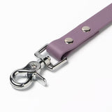 BioThane® Waterproof Dog Leash - Mauve