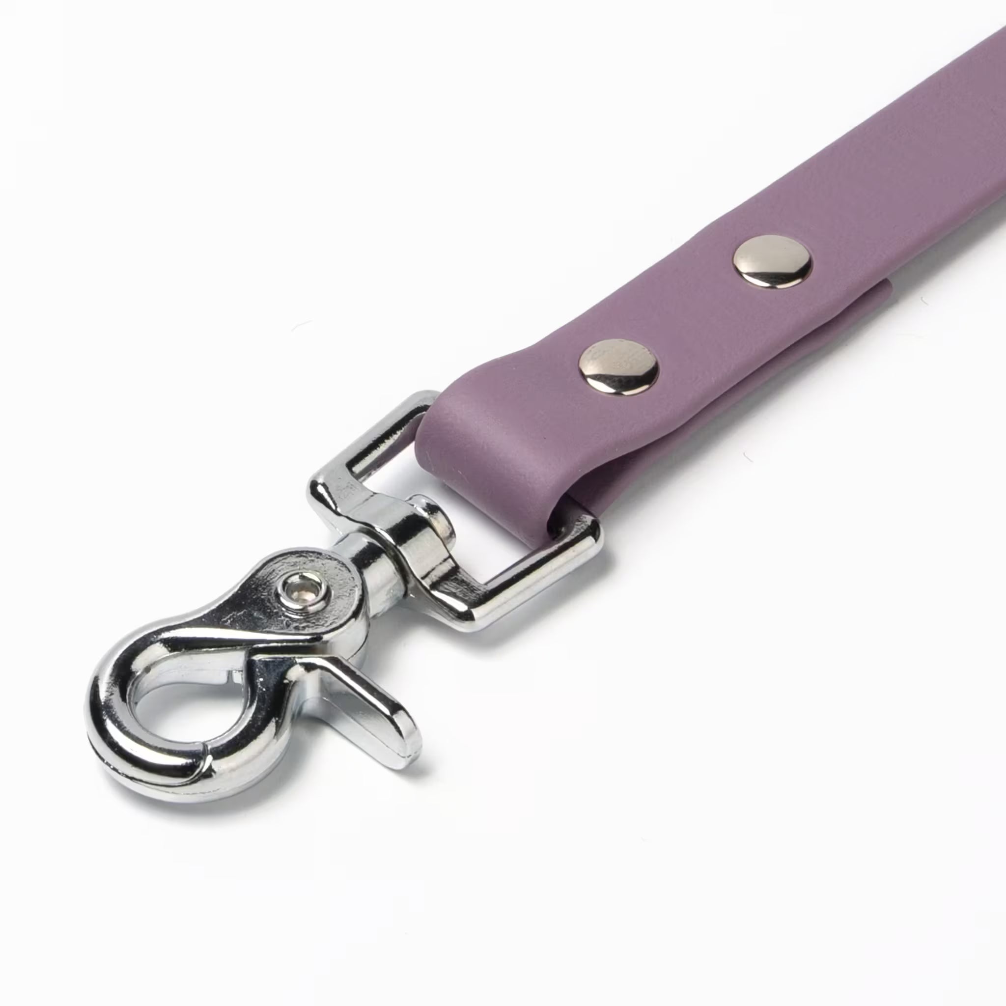 BioThane® Waterproof Dog Leash - Mauve