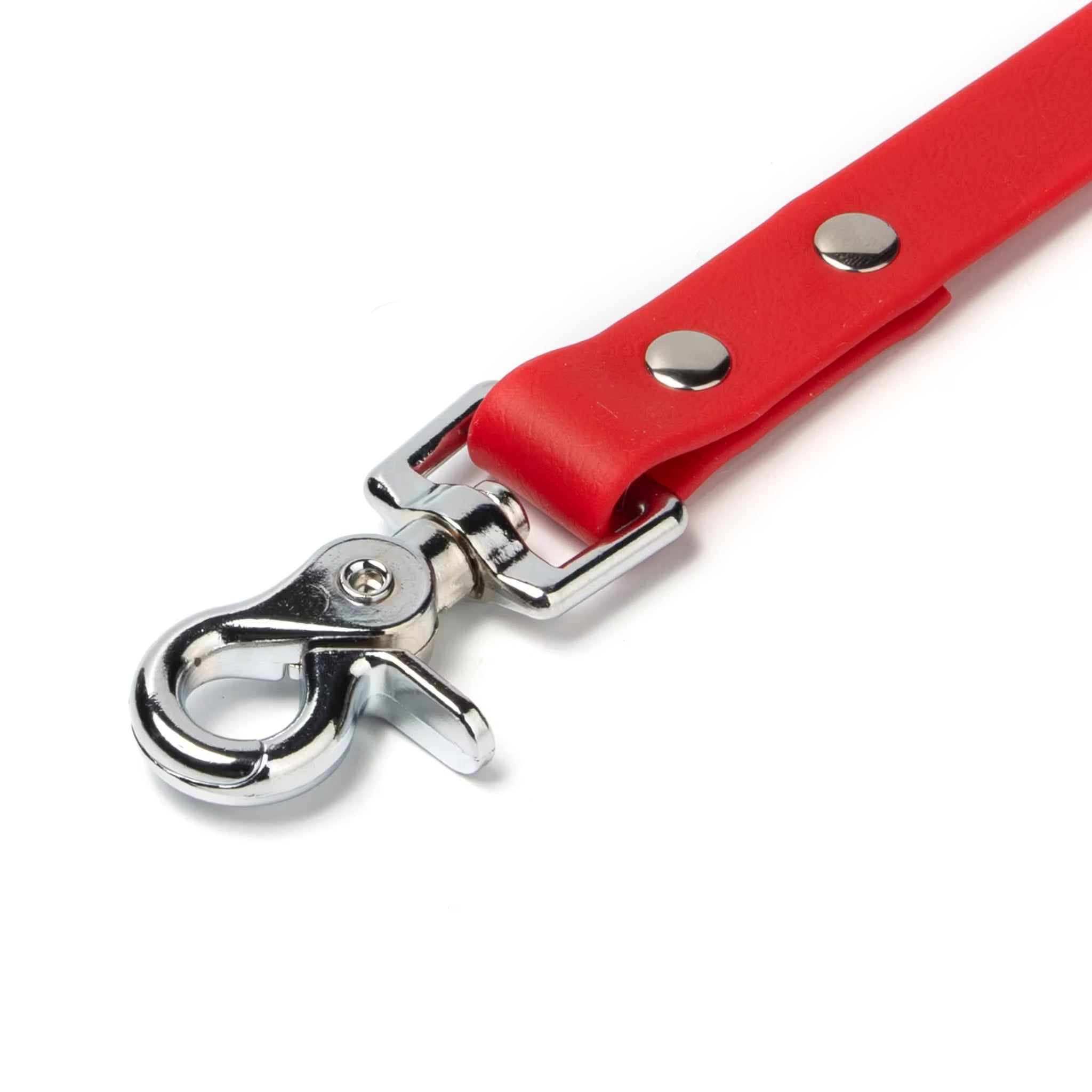 BioThane® Waterproof Dog Leash - Red
