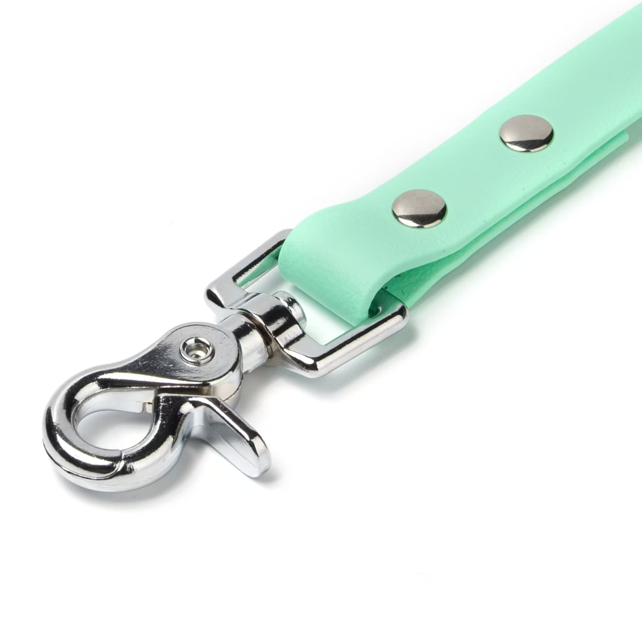 BioThane® Waterproof Dog Leash - Seafoam