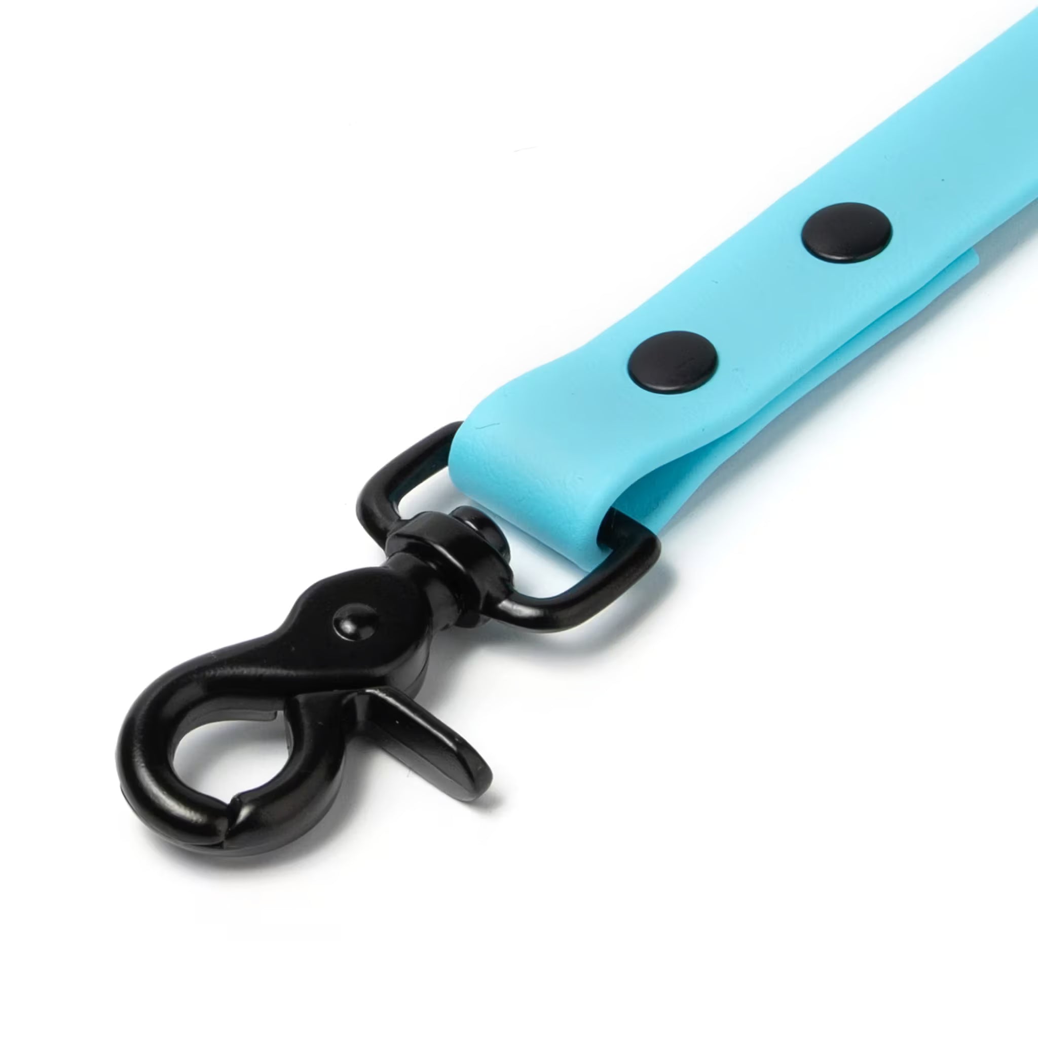 BioThane® Waterproof Dog Leash - Sky Blue