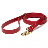 Waterproof BioThane® Dog Leash - Crimson